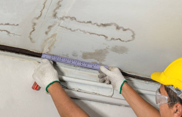 Reliable Water Damage Repair contractor in Lake Dallas, TX by Hirex Water Damage